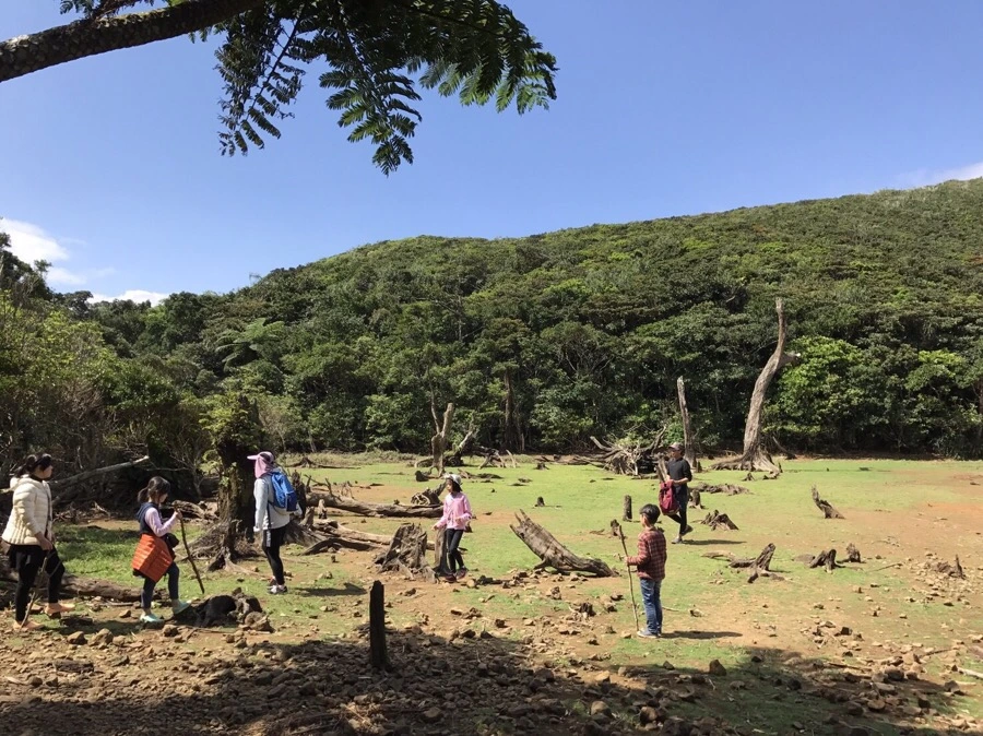 IMG_4067.jpg?type=w966