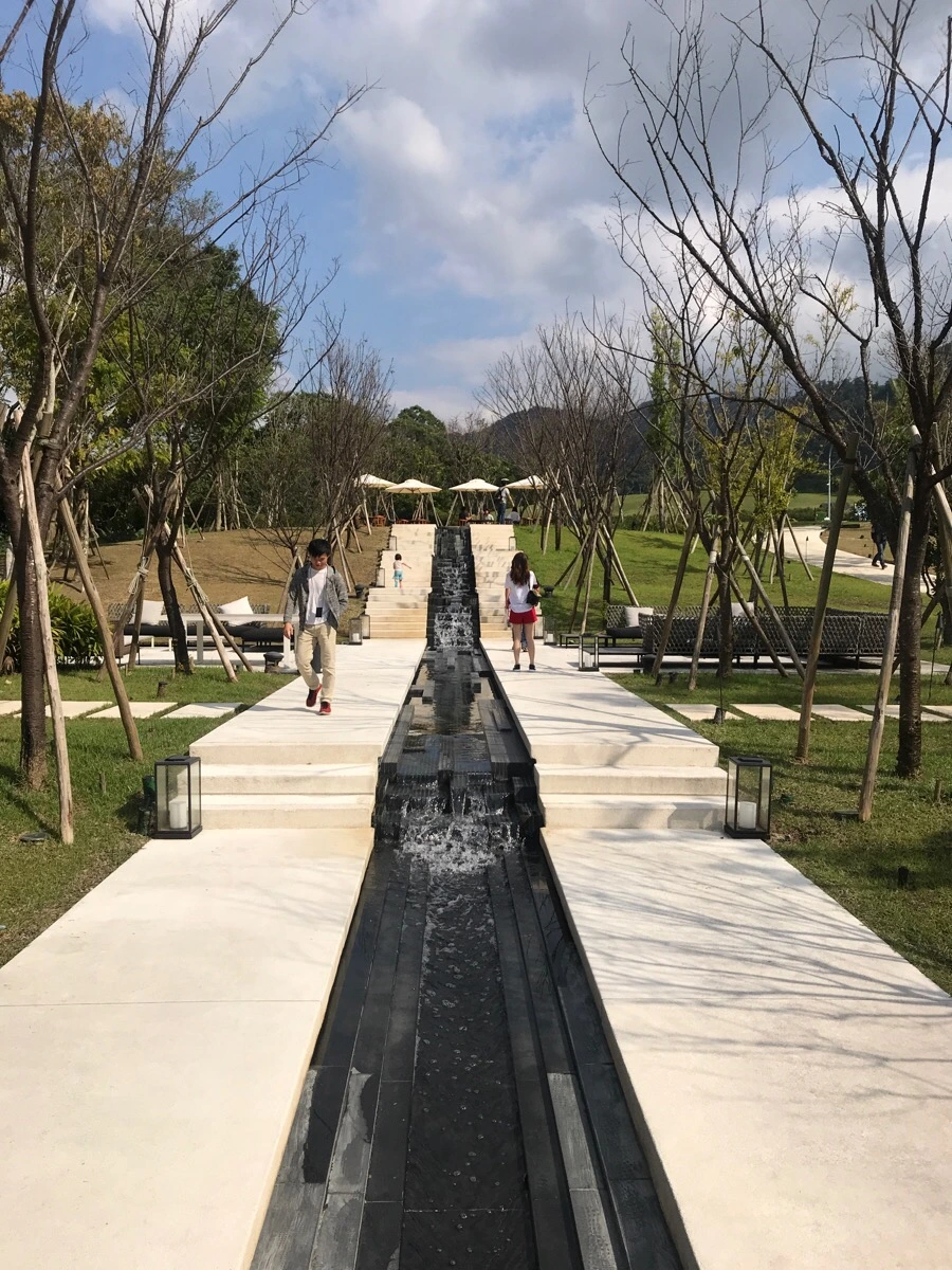 IMG_5355.jpg?type=w966