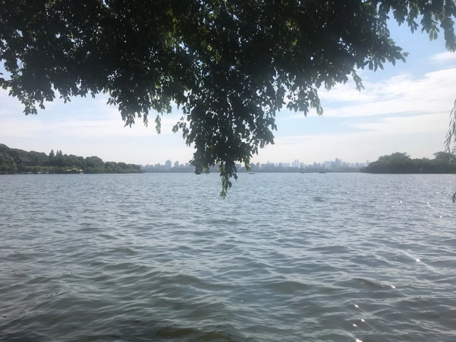 image_7256214631540731996111.jpg?type=w1