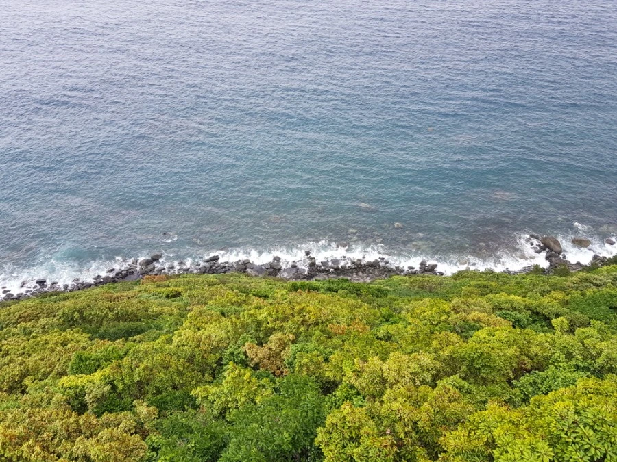 1560094463874-12.jpg?type=w1