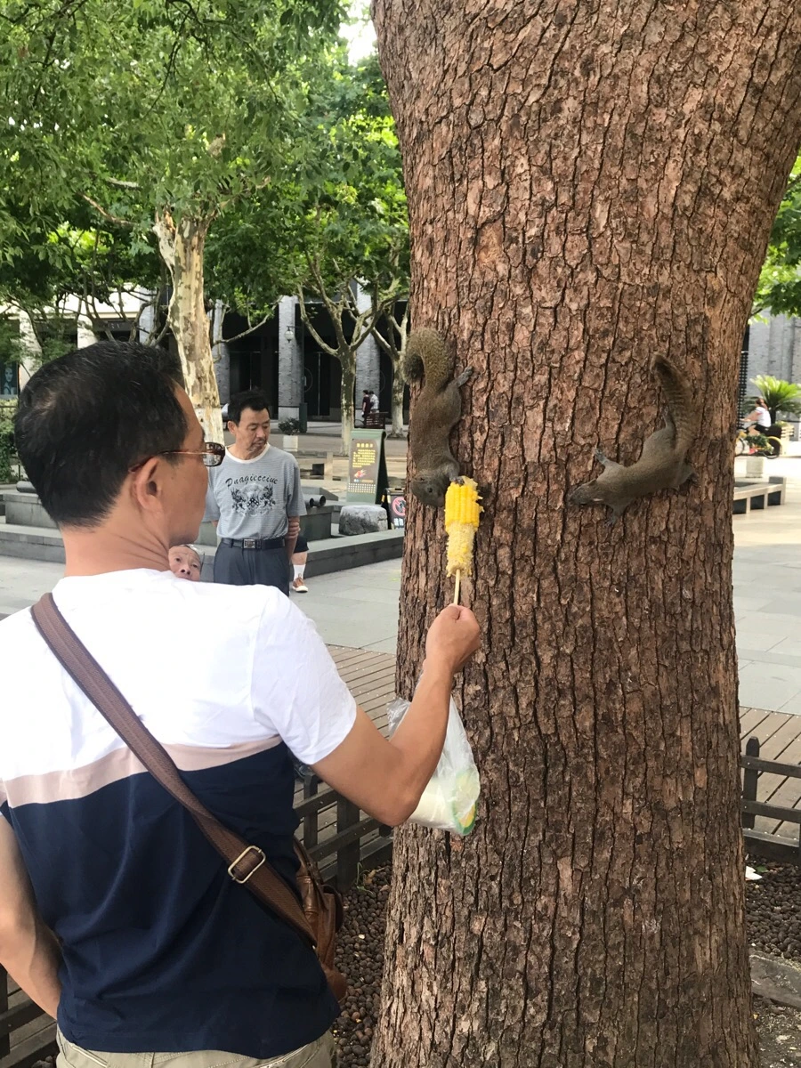 IMG_1031.jpg?type=w966