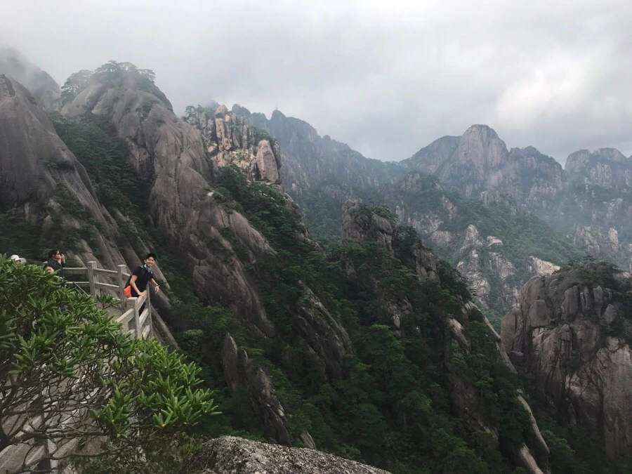 IMG_0904.jpg?type=w966