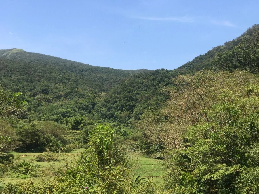 IMG_0108.jpg?type=w966