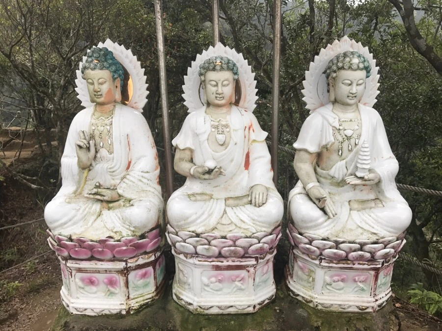 IMG_1086.jpg?type=w966