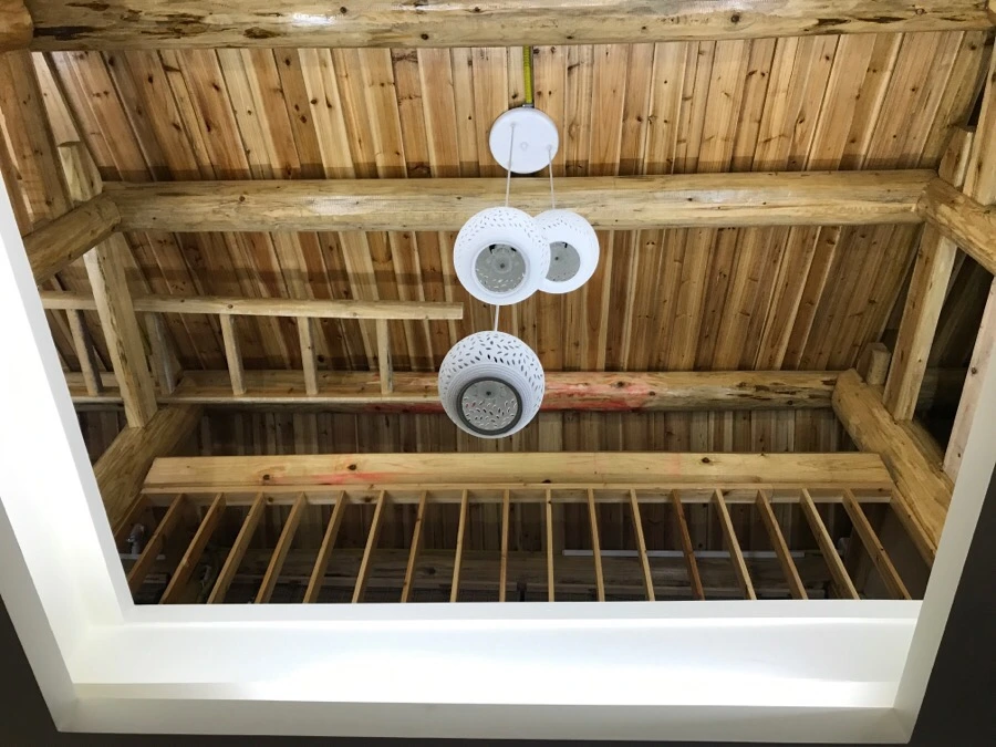 IMG_8255.jpg?type=w966