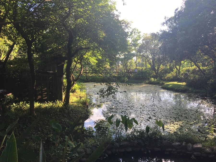 attachImage_2412694989.jpeg?type=w966