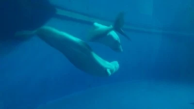 IMAG3308.jpg?type=w2