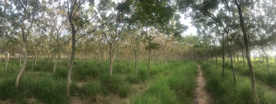 IMG_3292.jpg?type=w966