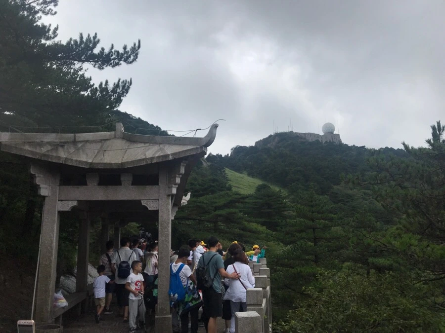 IMG_0747.jpg?type=w966