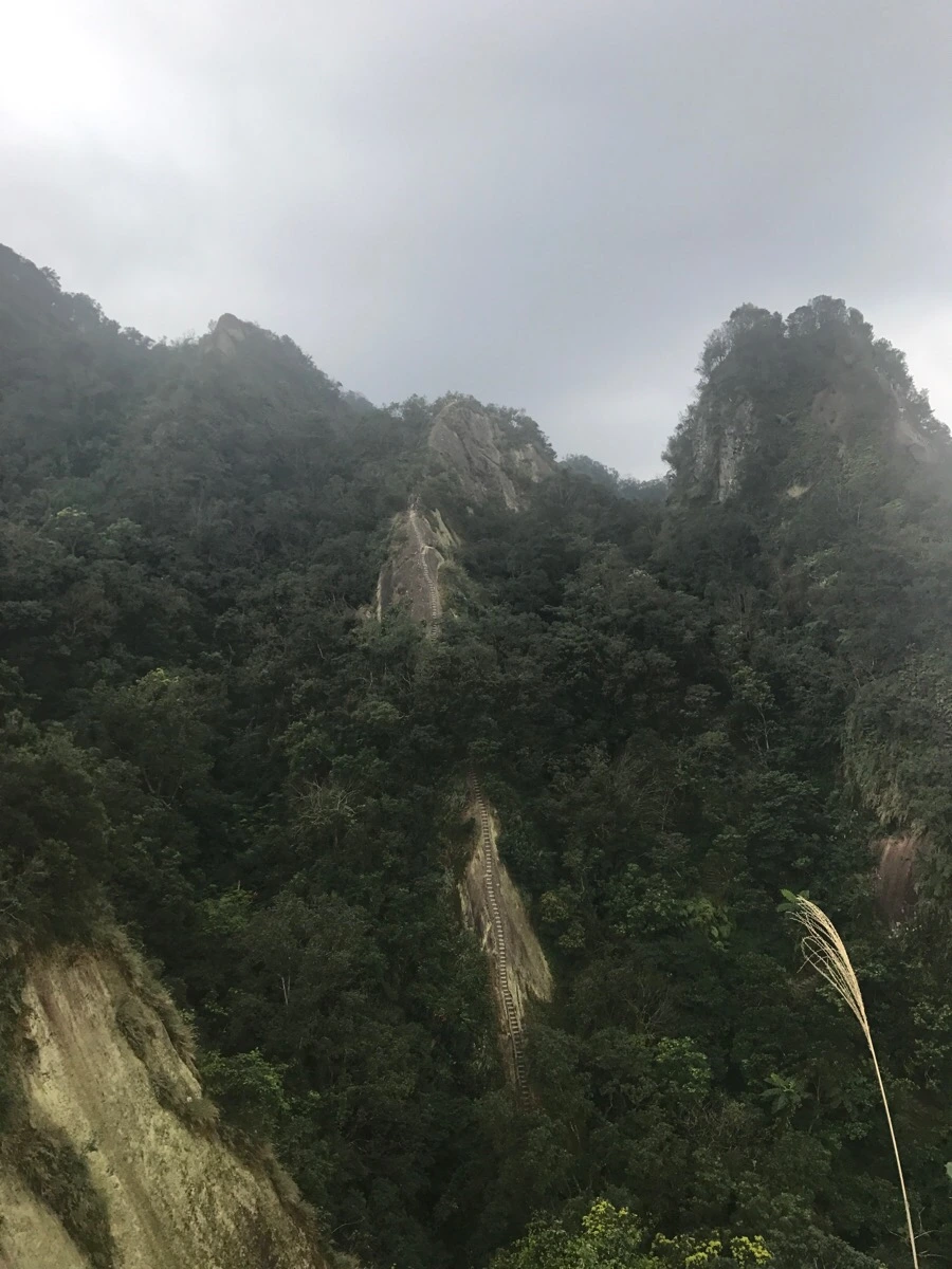 IMG_1004.jpg?type=w966