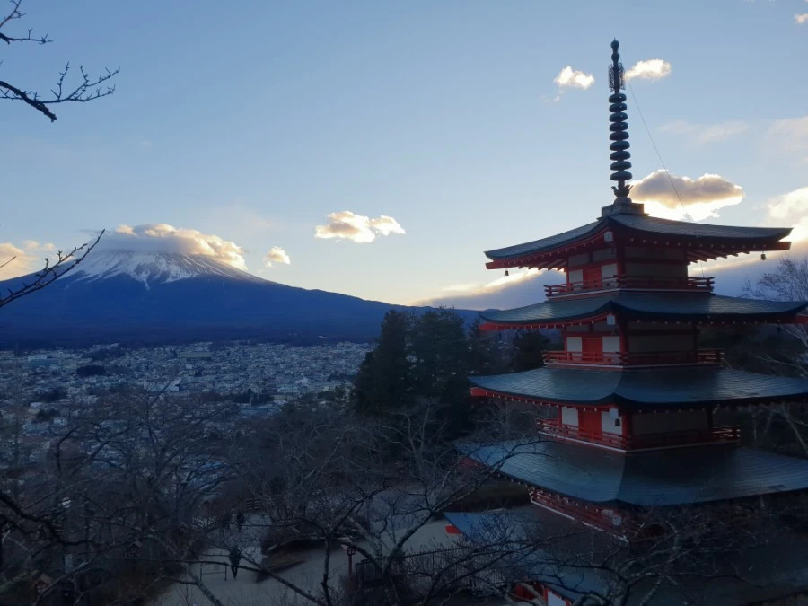 20190126_164227.jpg?type=w1