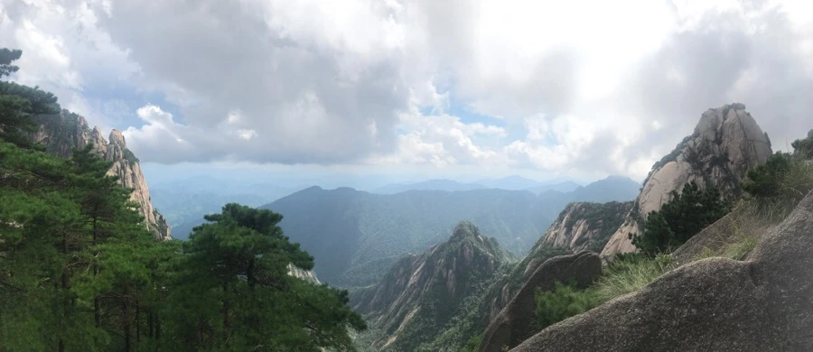 IMG_0911.jpg?type=w966