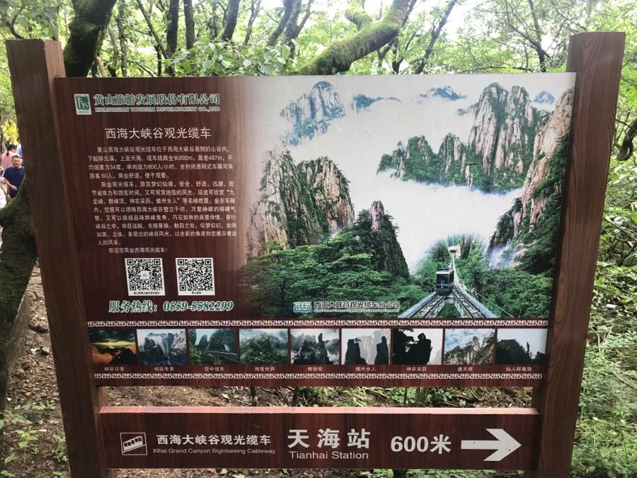 IMG_0780.jpg?type=w966