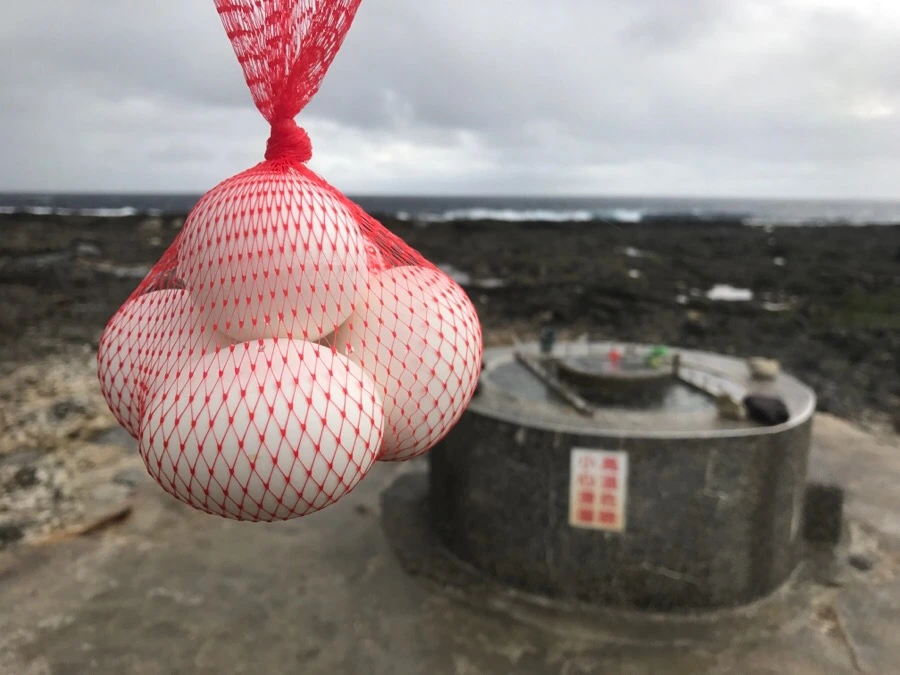 IMG_1566.jpg?type=w966