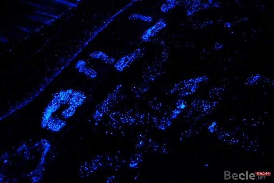 bdef51f549ea951337a90593c5ce89d3.jpg?type=w966