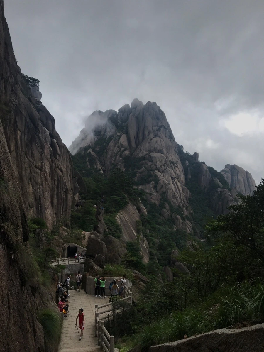 IMG_0828.jpg?type=w966