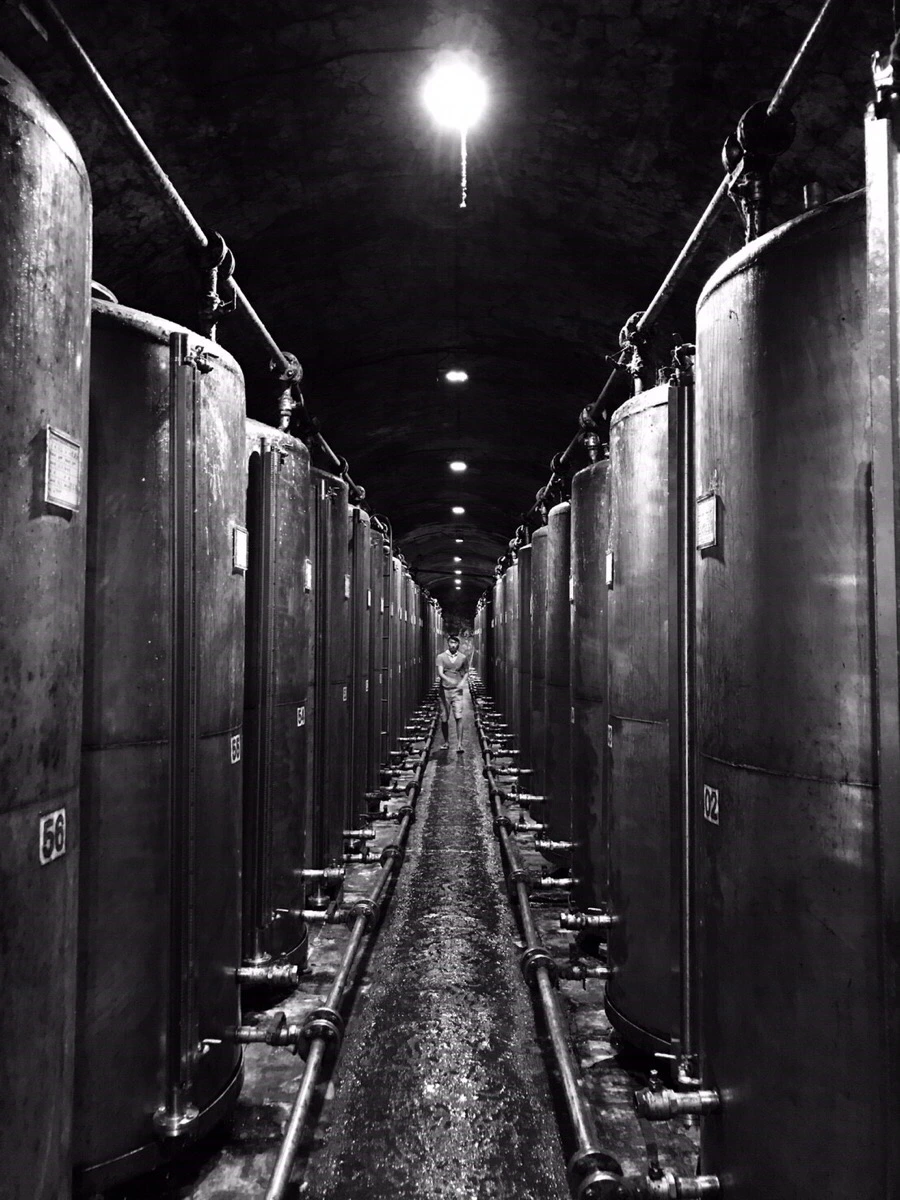 IMG_8691.jpg?type=w966