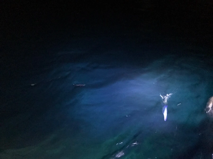 IMG_3816.jpg?type=w966