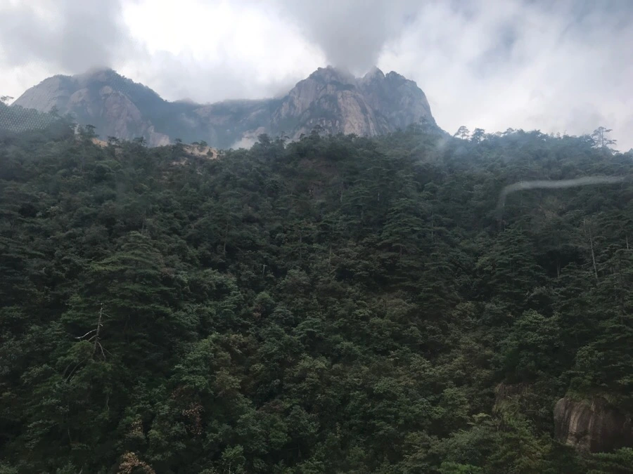 IMG_0696.jpg?type=w966