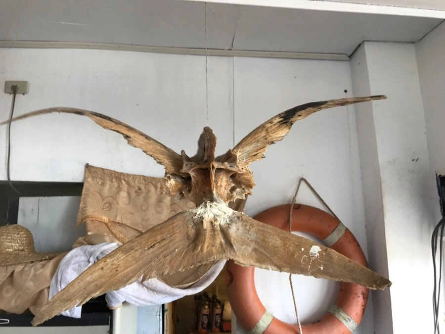 IMG_3442.jpg?type=w966