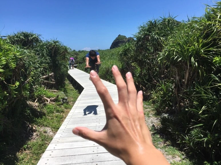 attachImage_177655378.jpeg?type=w773