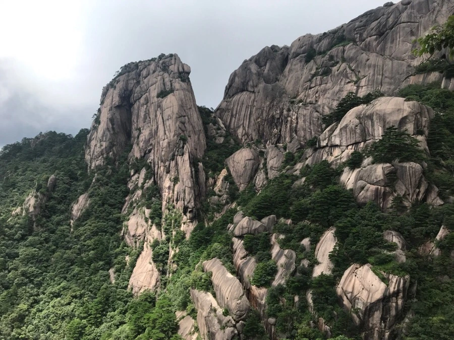 IMG_0854.jpg?type=w966