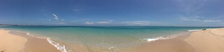 attachImage_3907763111.jpeg?type=w773