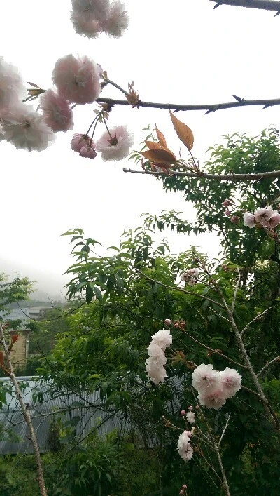 IMAG4801.jpg?type=w773