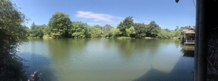 IMG_1205.jpg?type=w1