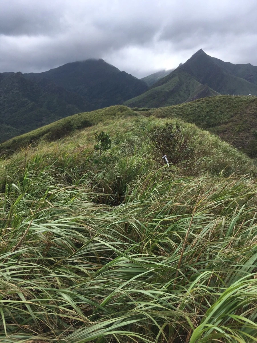 IMG_5218.JPG?type=w1