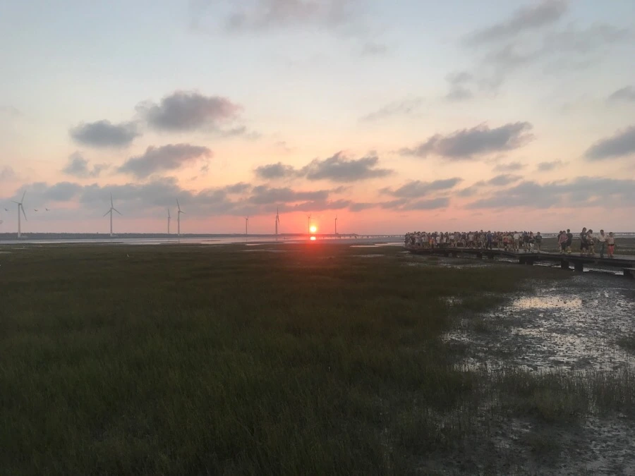 IMG_3329.jpg?type=w966