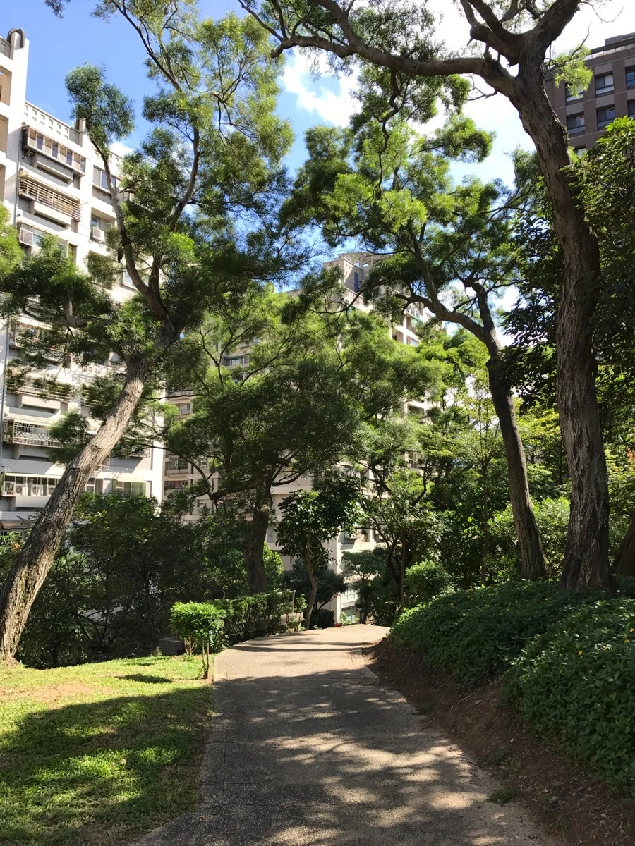 IMG_4833.JPG?type=w966