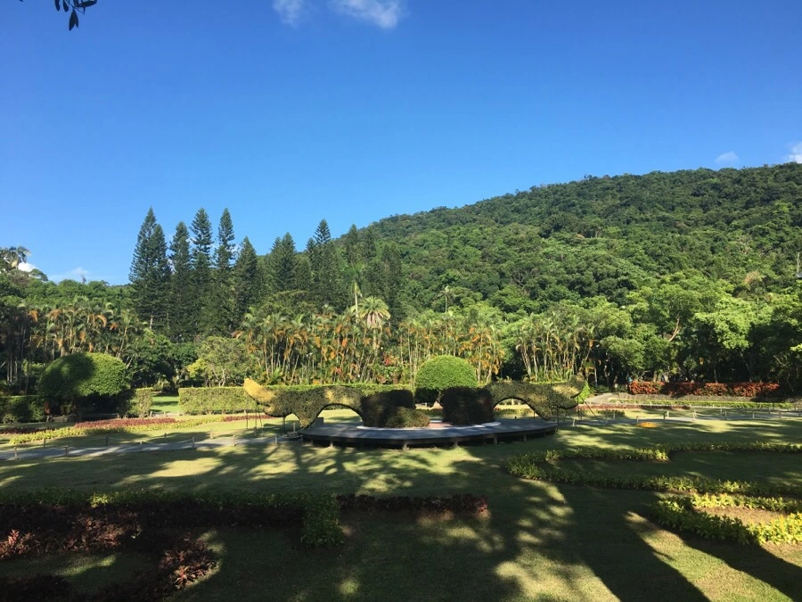 attachImage_3275844615.jpeg?type=w966