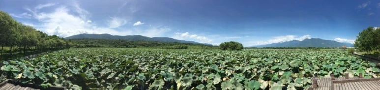 attachImage_3689864852.jpeg?type=w773