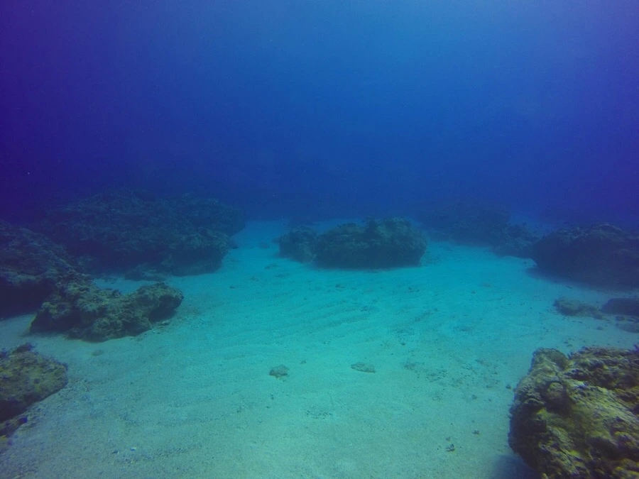 IMG_3598.jpg?type=w966