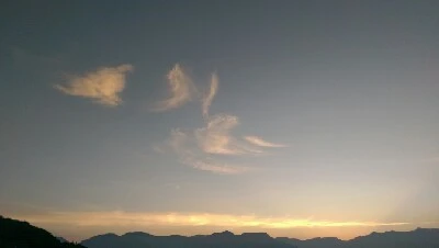 IMAG4856.jpg?type=w773