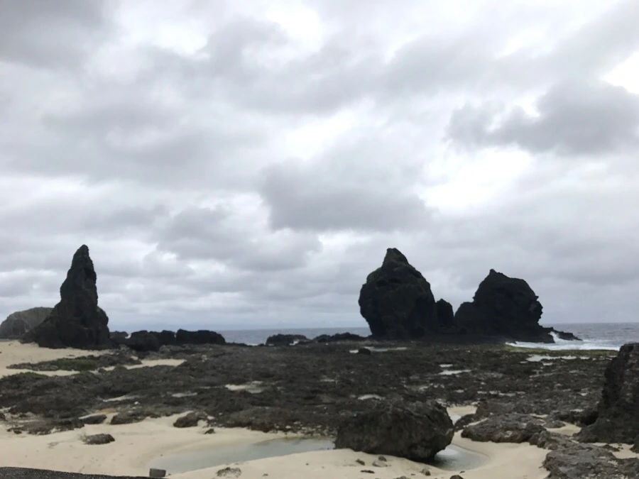 IMG_1714.jpg?type=w966