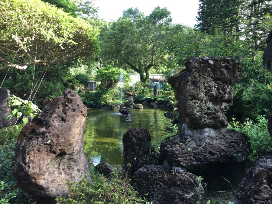 attachImage_3994488635.jpeg?type=w966