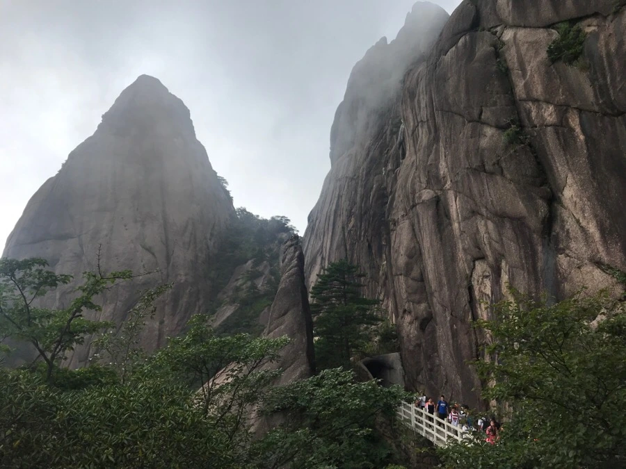 IMG_0834.jpg?type=w966