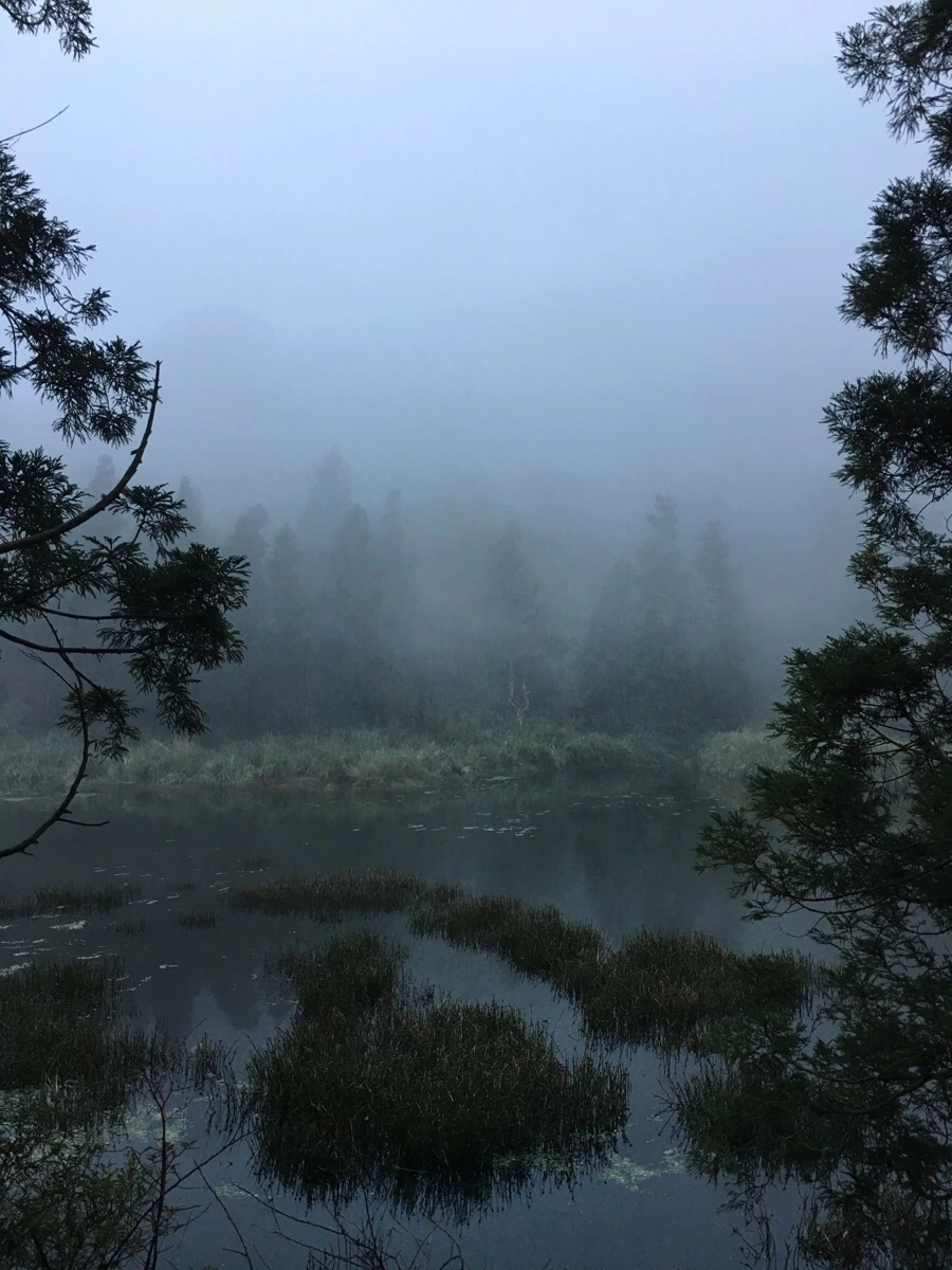 IMG_5403.JPG?type=w966