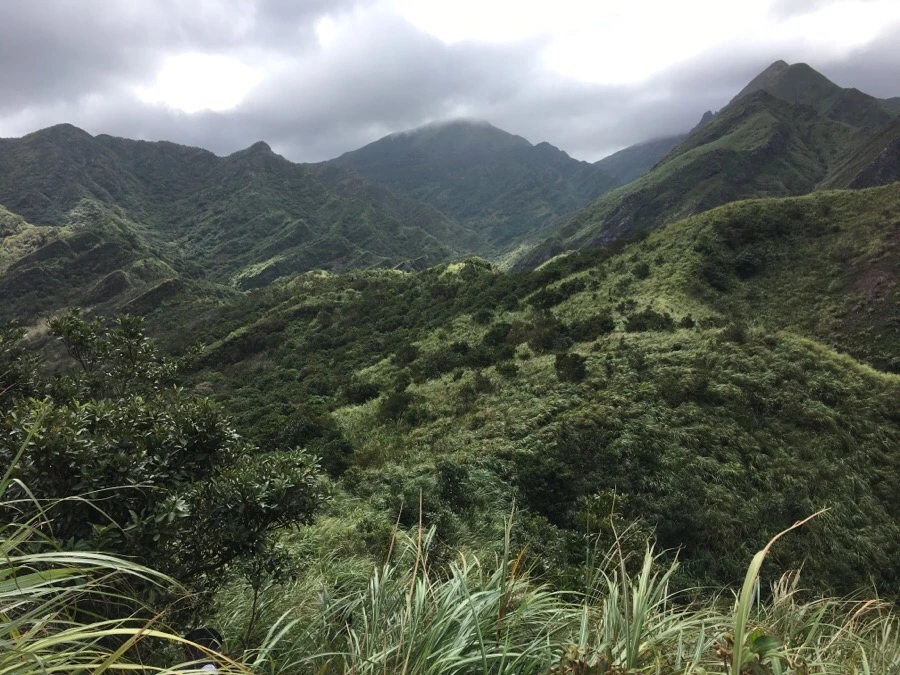 IMG_5070.JPG?type=w1