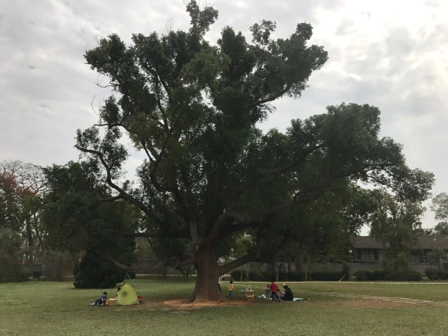 IMG_9967.jpg?type=w966