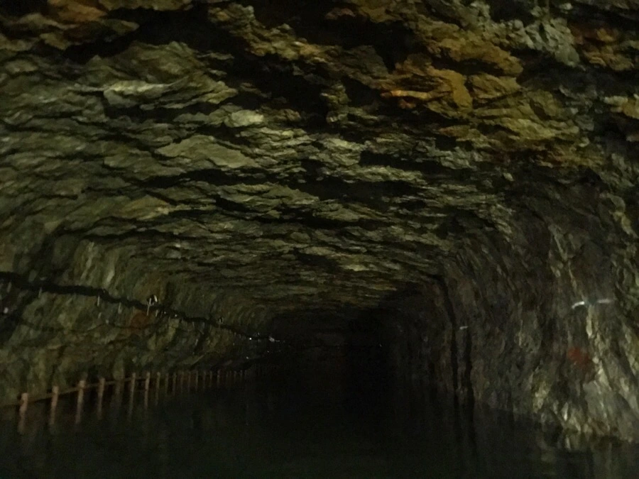 IMG_8339.jpg?type=w966