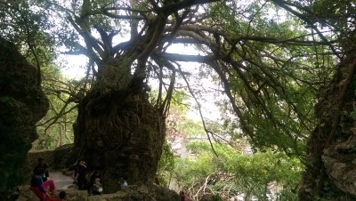 IMAG3263.jpg?type=w2