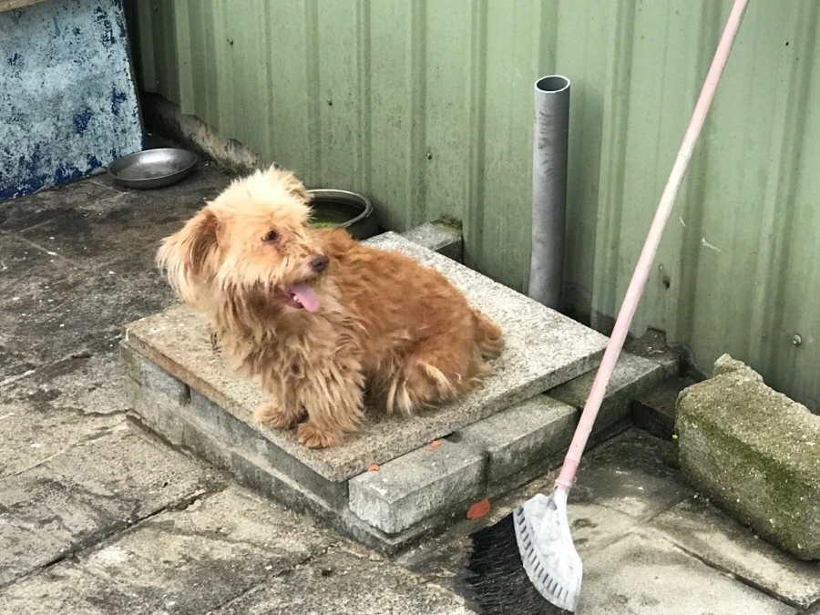 IMG_8607.jpg?type=w966