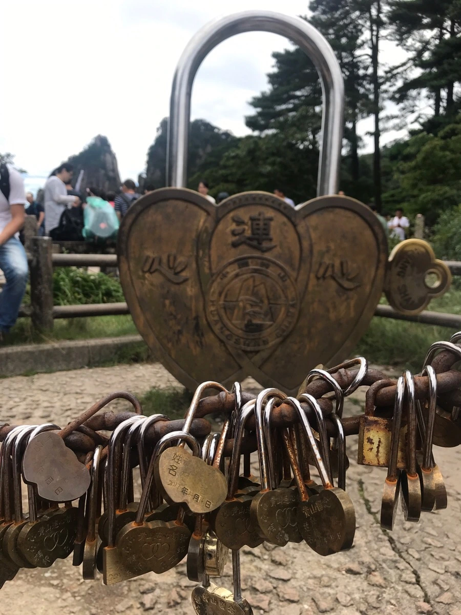 IMG_0745.jpg?type=w966