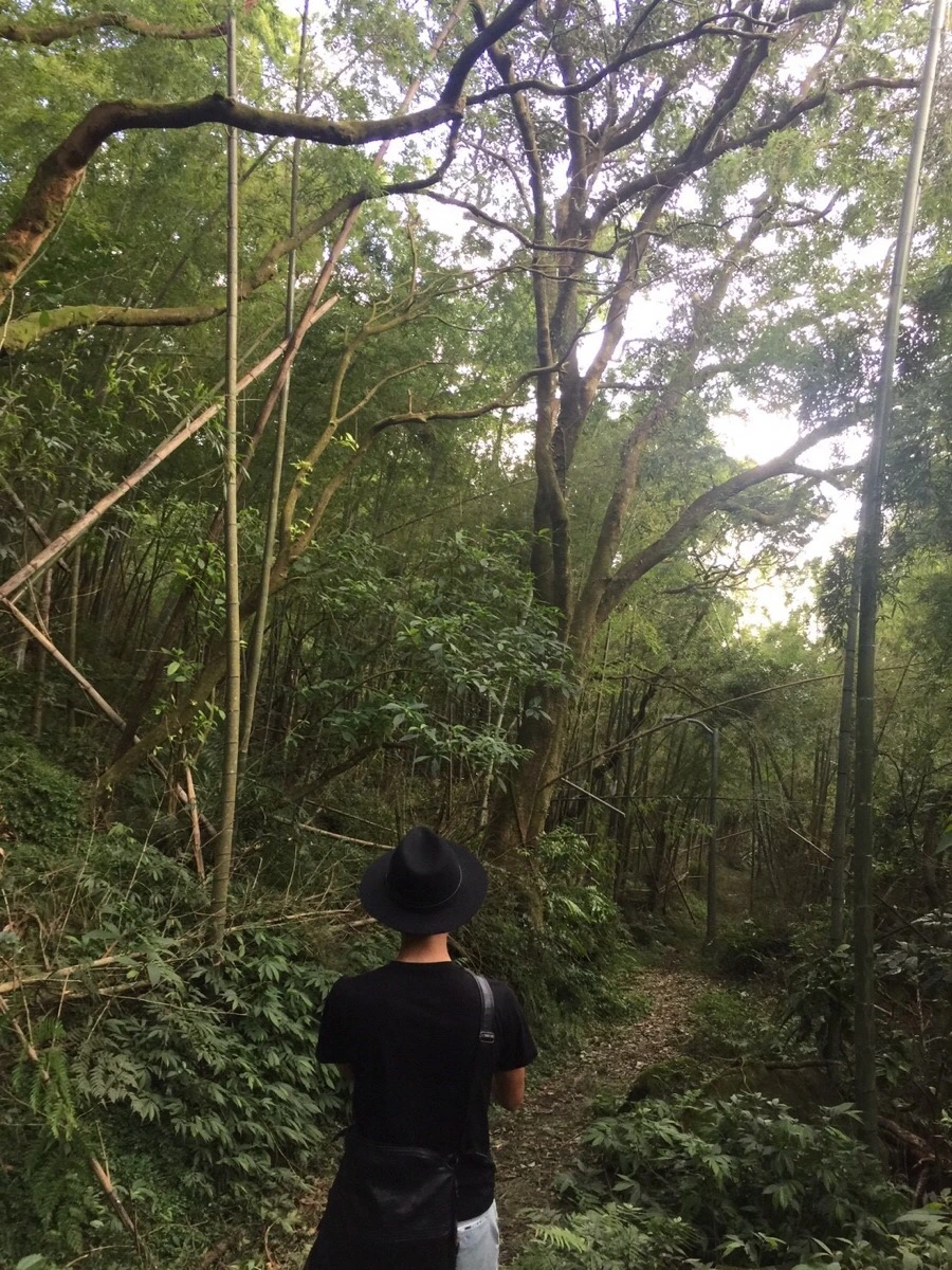 IMG_4205.JPG?type=w966