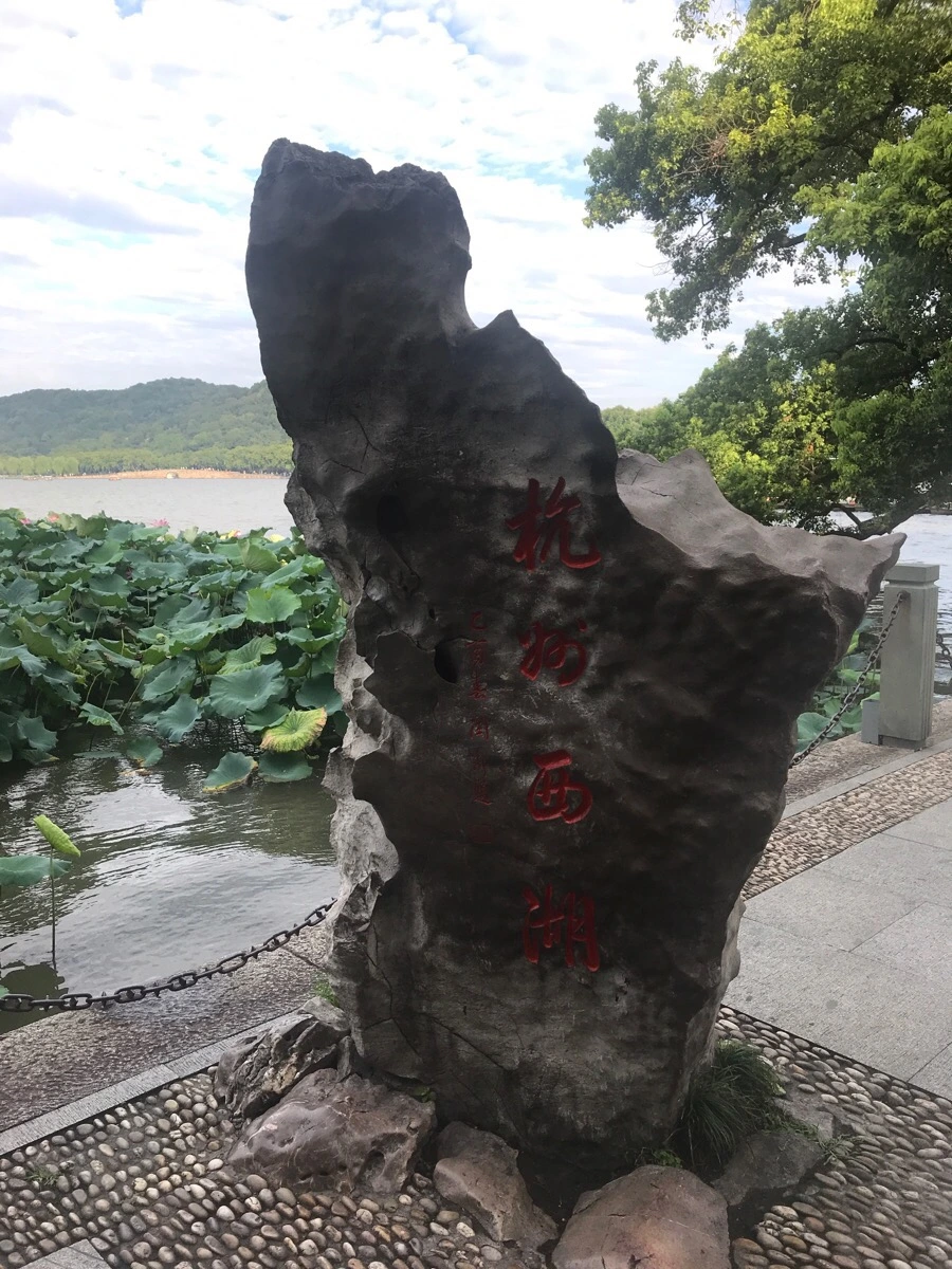 IMG_1046.jpg?type=w966