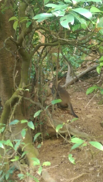 IMAG5998.jpg?type=w773