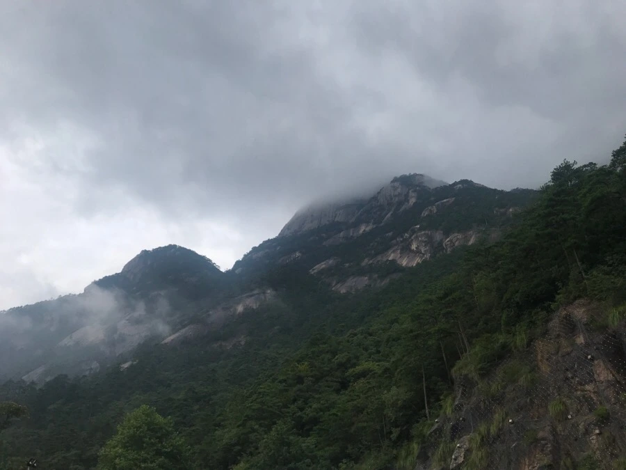 IMG_0684.jpg?type=w966